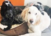Animal Related Business in NSW