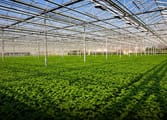 Home & Garden Business in Mangrove Mountain