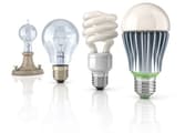 Import, Export & Wholesale Business in Sydney