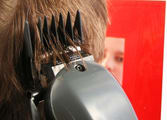 Professional Services Business in South Brisbane