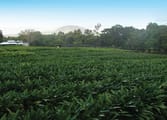 Home & Garden Business in Wrights Creek