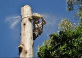 Gardening Business in Tenterfield