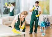 Professional Services Business in Castle Hill