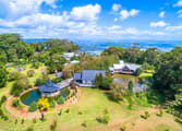 Hotel Business in Tamborine