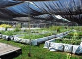 Home & Garden Business in Heatherton