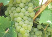 Rural & Farming Business in VIC