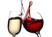 Food, Beverage & Hospitality Business in Zetland
