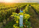 Rural & Farming Business in VIC