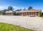 Real Estate Business in Seymour
