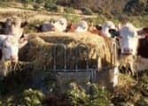 Rural & Farming Business in Horsham