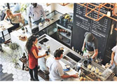 Cafe & Coffee Shop Business in QLD