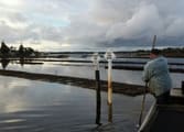 Automotive & Marine Business in Greenwell Point