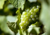 Rural & Farming Business in VIC