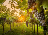 Rural & Farming Business in VIC
