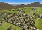 Accommodation & Tourism Business in Dunkeld