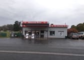 Automotive & Marine Business in TAS