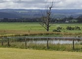 Resort Business in VIC
