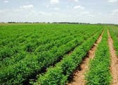Rural & Farming Business in VIC