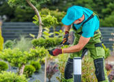Home & Garden Business in Maroochydore