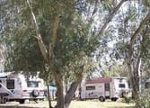 Accommodation & Tourism Business in Mingenew