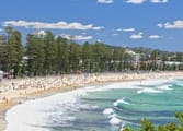 Courier Business in Manly