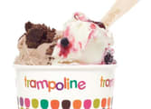 Trampoline Gelato franchise opportunity in Epping VIC