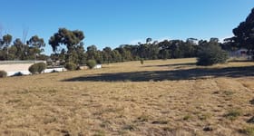 Factory, Warehouse & Industrial commercial property for sale at 4215 Pyrenees HWY Flagstaff VIC 3465