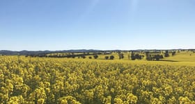 Rural / Farming commercial property sold at Temora NSW 2666