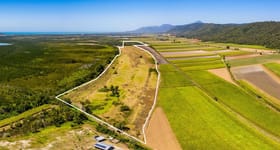 Rural / Farming commercial property for sale at Lot 1 Captain Cook Highway Killaloe QLD 4877