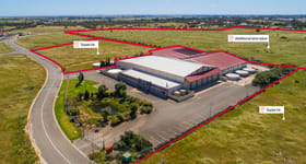 Rural / Farming commercial property for sale at 77 Big Olive Grove Tailem Bend SA 5260
