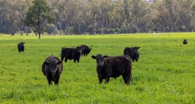 Rural / Farming commercial property for sale at Breeza NSW 2381