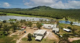 Rural / Farming commercial property for sale at 4684 Mulligan Highway Lakeland QLD 4871