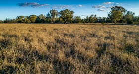 Grazing commercial property for sale at Waldon 496 Terembone Forest Road Coonamble NSW 2829