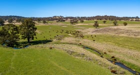 Rural / Farming commercial property sold at Paradise Creek Elsmore Road Inverell NSW 2360
