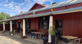 Hotel, Motel, Pub & Leisure commercial property for sale at 18948 Riverina Highway Blighty NSW 2713