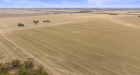 Rural / Farming commercial property for sale at 230 Baulch Road Normanville VIC 3579