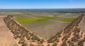 Rural / Farming commercial property for sale at 2756 Tapalin Mail Road Euston NSW 2737