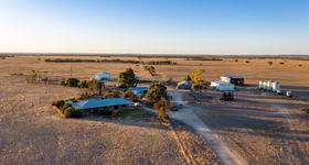 Rural / Farming commercial property for sale at 2293 Mallee Highway Sherlock SA 5301