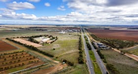 Rural / Farming commercial property for sale at 17 Middle Beach Road Two Wells SA 5501