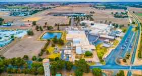 Rural / Farming commercial property for sale at 1-65 & 85 Bosse Road Tongala VIC 3621