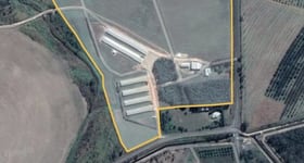 Rural / Farming commercial property for sale at Arriga QLD 4880 Rural / Farming commercial property for sale at Arriga QLD 4880