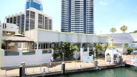 Hotel, Motel, Pub & Leisure commercial property for lease at Lot 2/58 Cavill Avenue Surfers Paradise QLD 4217