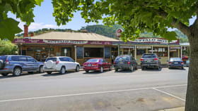 Hotel, Motel, Pub & Leisure commercial property for sale at 49 Clyde Street Myrtleford VIC 3737