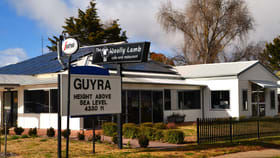 Shop & Retail commercial property for sale at 87 Malpas (New England Highway) Guyra NSW 2365