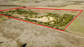 Rural / Farming commercial property for sale at lot 2 Phelps Road Narngulu WA 6532