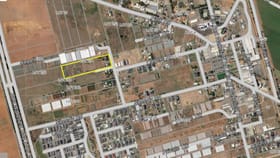 Development / Land commercial property for sale at Lot 2 Oloughlin Road Virginia SA 5120