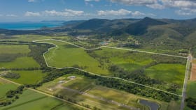 Development / Land commercial property for sale at 1405 Shute Harbour Road Cannon Valley QLD 4800