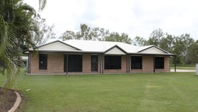 Rural / Farming commercial property for lease at 62 Cemetery Road Sarina QLD 4737
