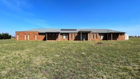 Rural / Farming commercial property for lease at 2171-2197 Melton Highway Melton VIC 3337