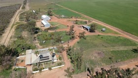 Rural / Farming commercial property for sale at 2848 Yerina Spring Road West Binnu WA 6532